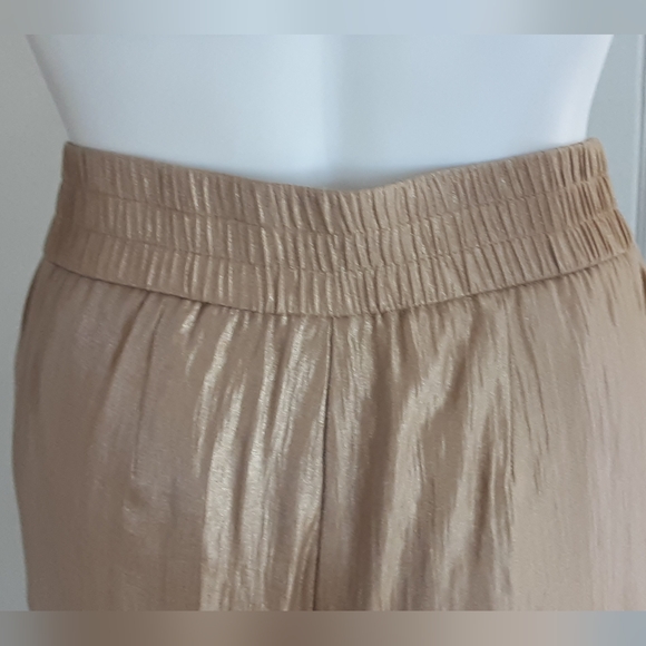 CHICO'S Travelers Collection Gold Luxe Metallic Welt Pocket Pants Sz 0 - NWOT - Picture 5 of 12